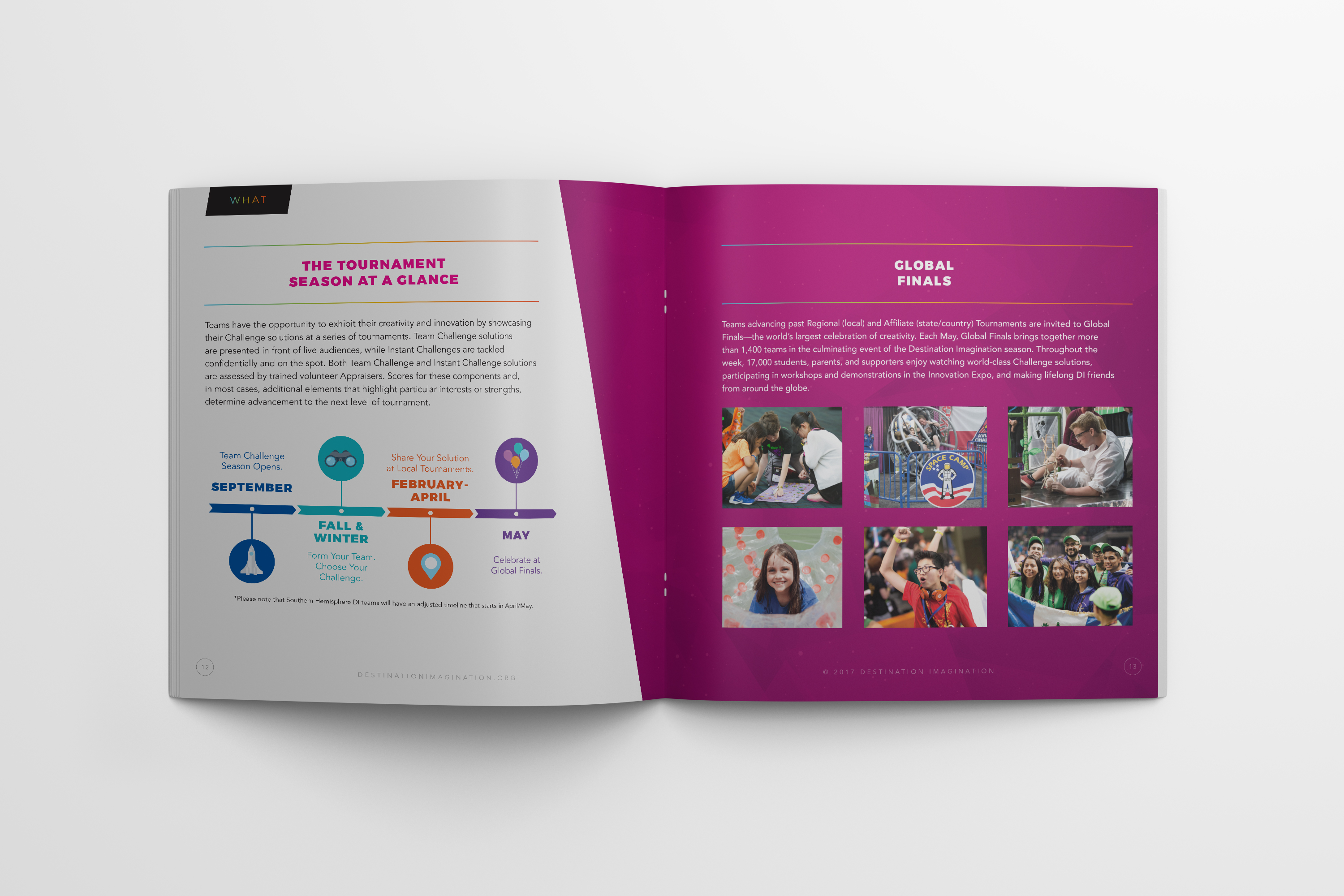 DI-Marketing-Brochure-What-Page